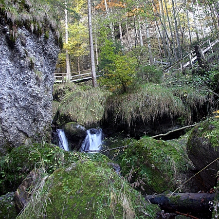 33 Im Herbst 2009 im Allgäu